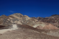 IMG_3505R