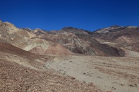 IMG_3511R