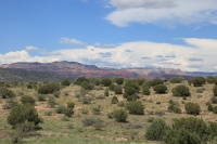 IMG_7414R