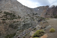 IMG_0553R 