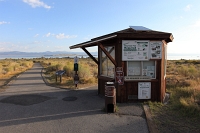 IMG_0781R 