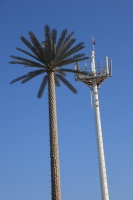 IMG_1447R 携帯電話の基地局でした。オツな擬態ですなあ。