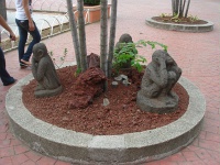 DSC03437