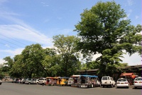 IMG_4136RH