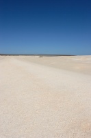 IMG_7382 ܂ɂVCǂ߁AƂƂKꂽVFr[`ɍĂїB蒼B