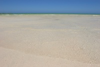 IMG_7964