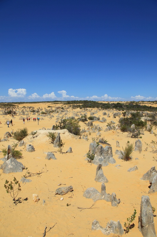 IMG_1015RH ȊŁAB蒼B