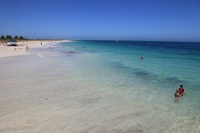 IMG_0872RH 