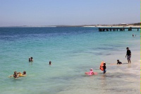 IMG_0891RH 