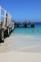 IMG_0898RH 