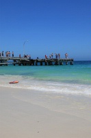 IMG_0906RH 
