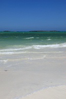 IMG_0919RH