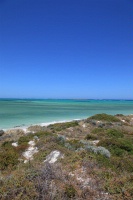IMG_0926RH 