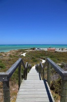 IMG_0928RH 