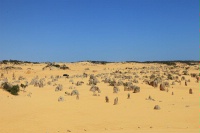 IMG_1000RH 