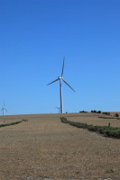 IMG_1039RH 