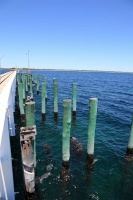 IMG_1251RH 