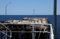 IMG_1255RH