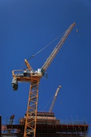 IMG_1420RH 