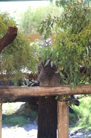 IMG_1559RH 
