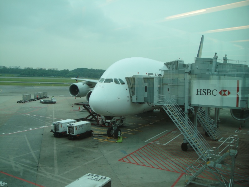 DSC05723 この写真を撮った後に警備員に呼ばれてウダウダ言われたんですが、<BR>
これぐらいでグダグダ言うなよなぁと。気を利かせて小さい方で撮ってるんだし。（ぉぃ