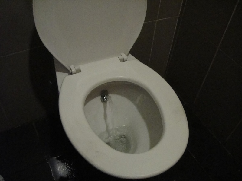 DSC01891 ぬぬぬぬっ！！電気を使用しないウォシュレットが！！