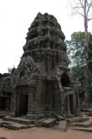 IMG_3019R