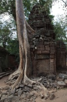 IMG_3023R