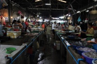 IMG_3208R