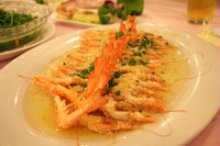 IMG_0582RH 