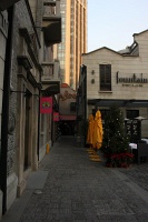 IMG_0944RH