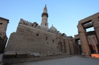 IMG_9719R
