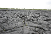 IMG 1825  ひたすら、溶岩、溶岩、溶岩。