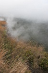 IMG 2063