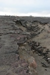IMG 2103  地割れ。