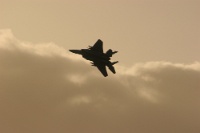 IMG 3021  F14さん。気付いたときには遠く彼方へ。
