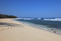 IMG_3739R 