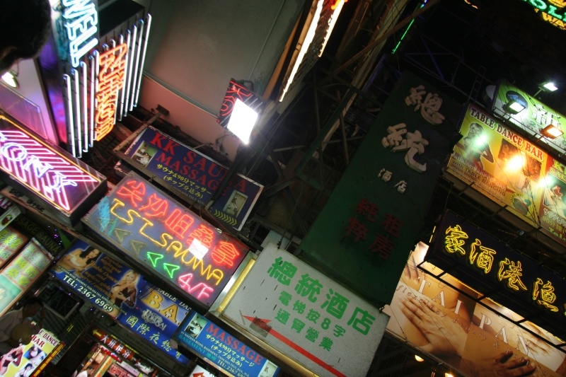 IMG_7833 킵Ŕ̃Ip[hBB
