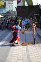 IMG_0047R