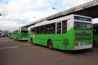 IMG_6551R 