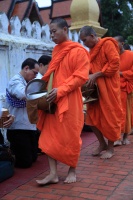 IMG_7972R 