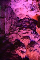 IMG_8716R 