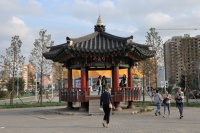 IMG_5684R 