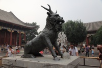 IMG_6316R 