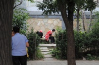 IMG_6384R 