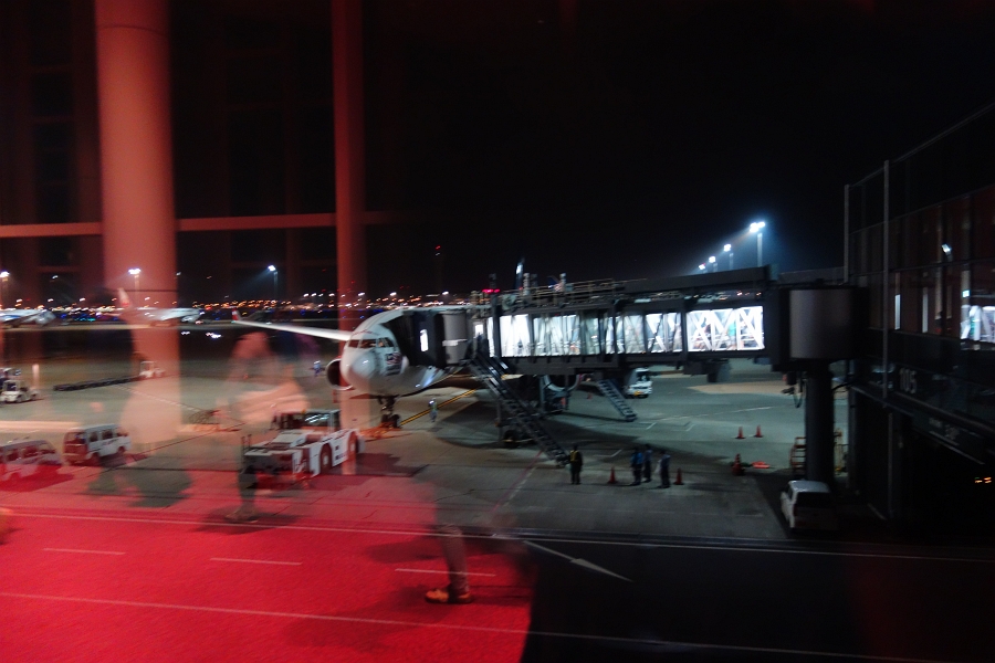 DSC00969 というわけで、出発時と同じ光景に戻って来ちゃいました。