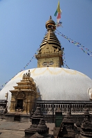 IMG_6365R