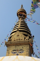 IMG_6367R