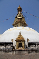 IMG_6374R