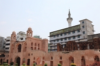 IMG_7687R